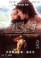 A World Without Thieves (Tian xia wu zei) (2004)