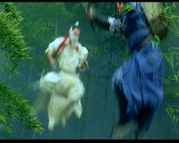 Fehér sárkány (Fei hap siu baak lung) (2004)